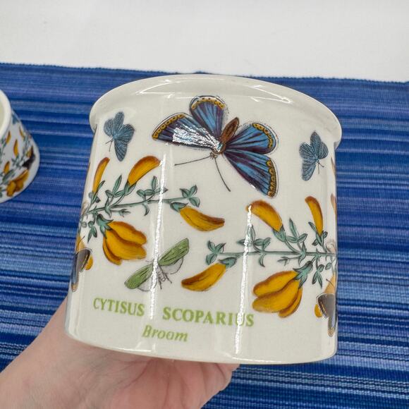 Portmeirion Botanic Garden Tea Cups Mugs 8 oz Cytisus Scoparius Broom Set of 2 - Picture 7 of 12